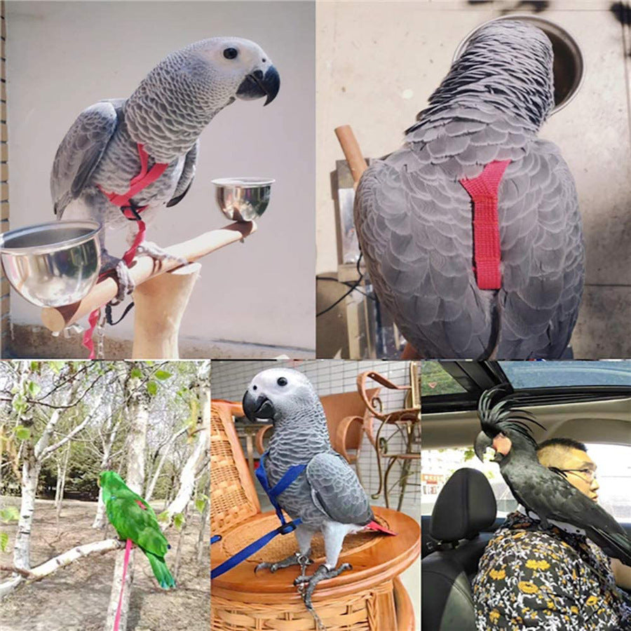 Parrot Adventure Flying Rope with Harness