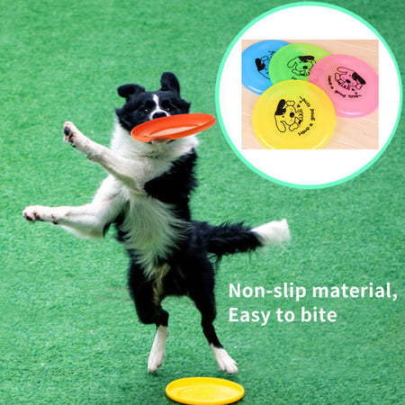 Dog Interactive Frisbee