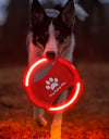 GlowFetch Illuminated Dog Disc