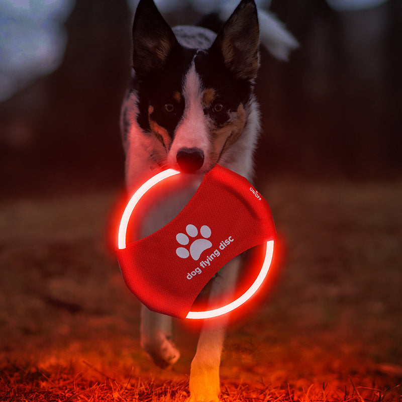 GlowFetch Illuminated Dog Disc