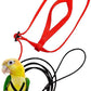 Parrot Adventure Flying Rope with Harness