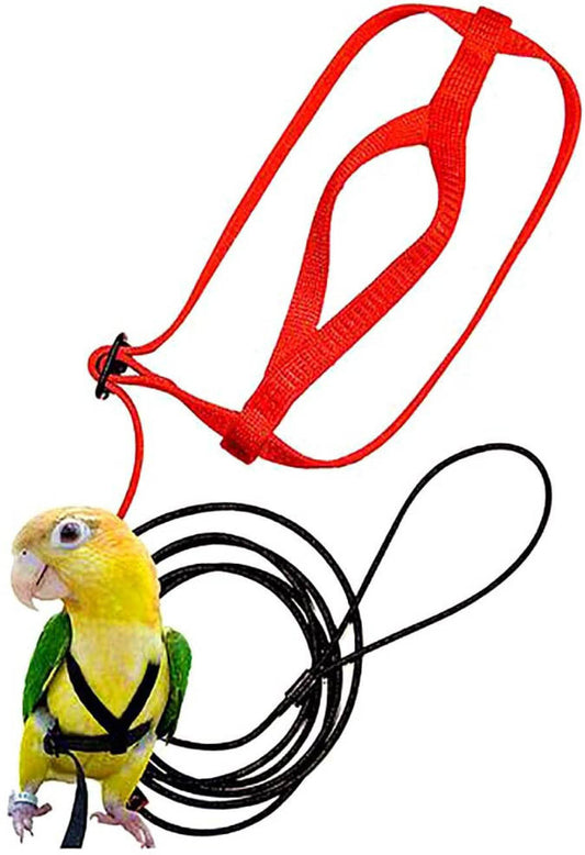 Parrot Adventure Flying Rope with Harness