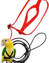 Parrot Adventure Flying Rope with Harness