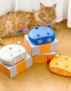 A cat next to 3 types of Cat Teasing Robot Laser Toys