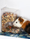 Hamster Haven Feeder Box