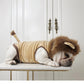 Lion Costume – Perfect for Halloween!