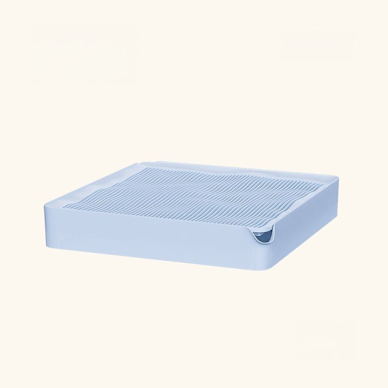 Textured litter mat ramp that traps cat litter from paws