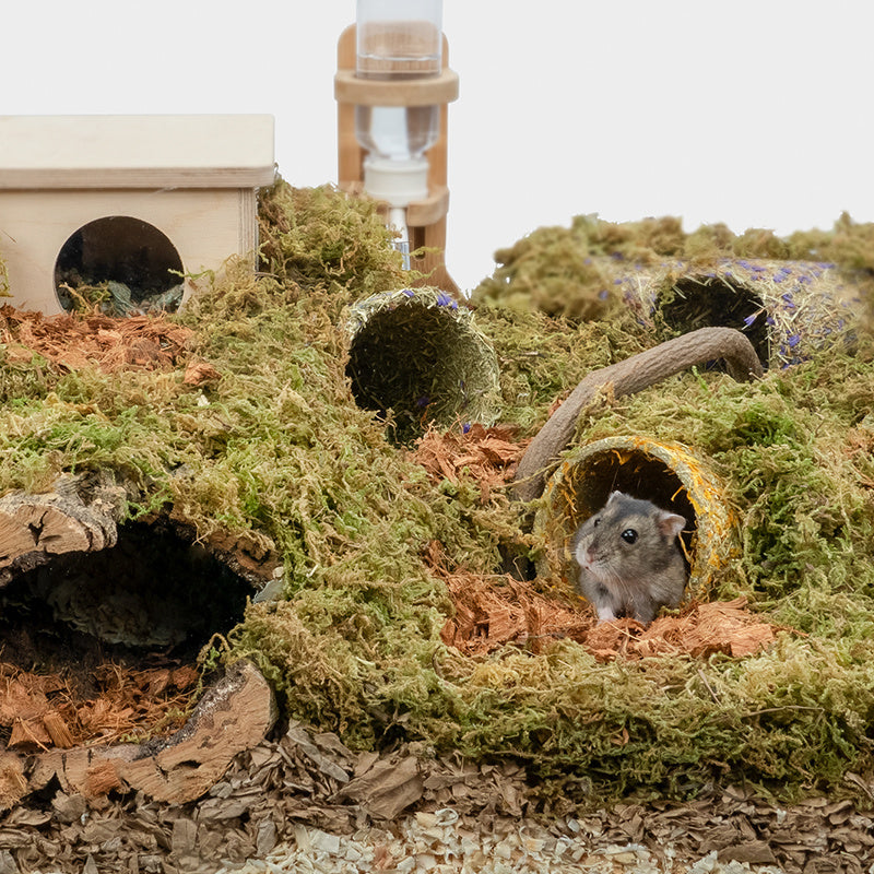 Hamster Haven Tunnel Grass Toy