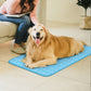 Pet ChillZone Cooling Mat