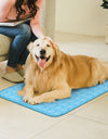 Pet ChillZone Cooling Mat