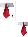 Stylish Pet Ties