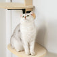 Vertical Door Mounted Cat Shelves