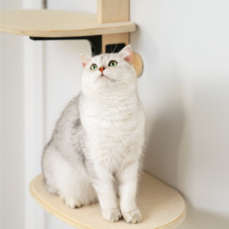 Vertical Door Mounted Cat Shelves