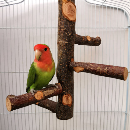 Jouet en bois pour perroquet et oiseau