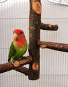 Parrot Bird Wood Stand Pole Toy