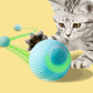 USB Rechargeable Rolling Ball Pet Toy