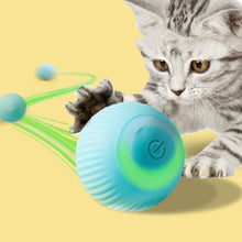 USB Rechargeable Rolling Ball Pet Toy