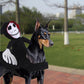 Spooky Pet Halloween Costume - Spider Pumpkin Vest