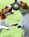 Mini Tire Squeaky Toy