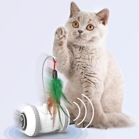 FelineFun Interactive Robot