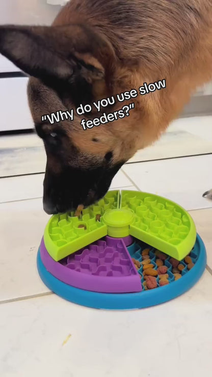 Spin 'n' Snack 3-Layer Puzzle Feeder