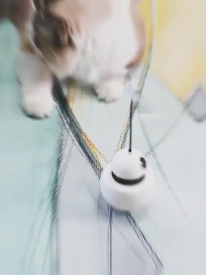 Cat toy funny cat toy three in one