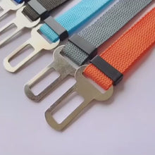 PetGuard SecureRide Leash