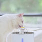 Automatic Cat Water Fountain