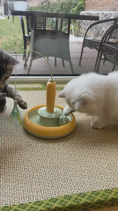 Cat Toy Fishing Pole