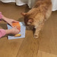 Cat Teasing Robot Laser Toy