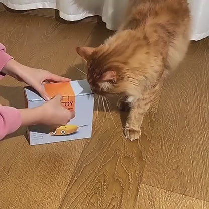PurrBot Playmate 3000