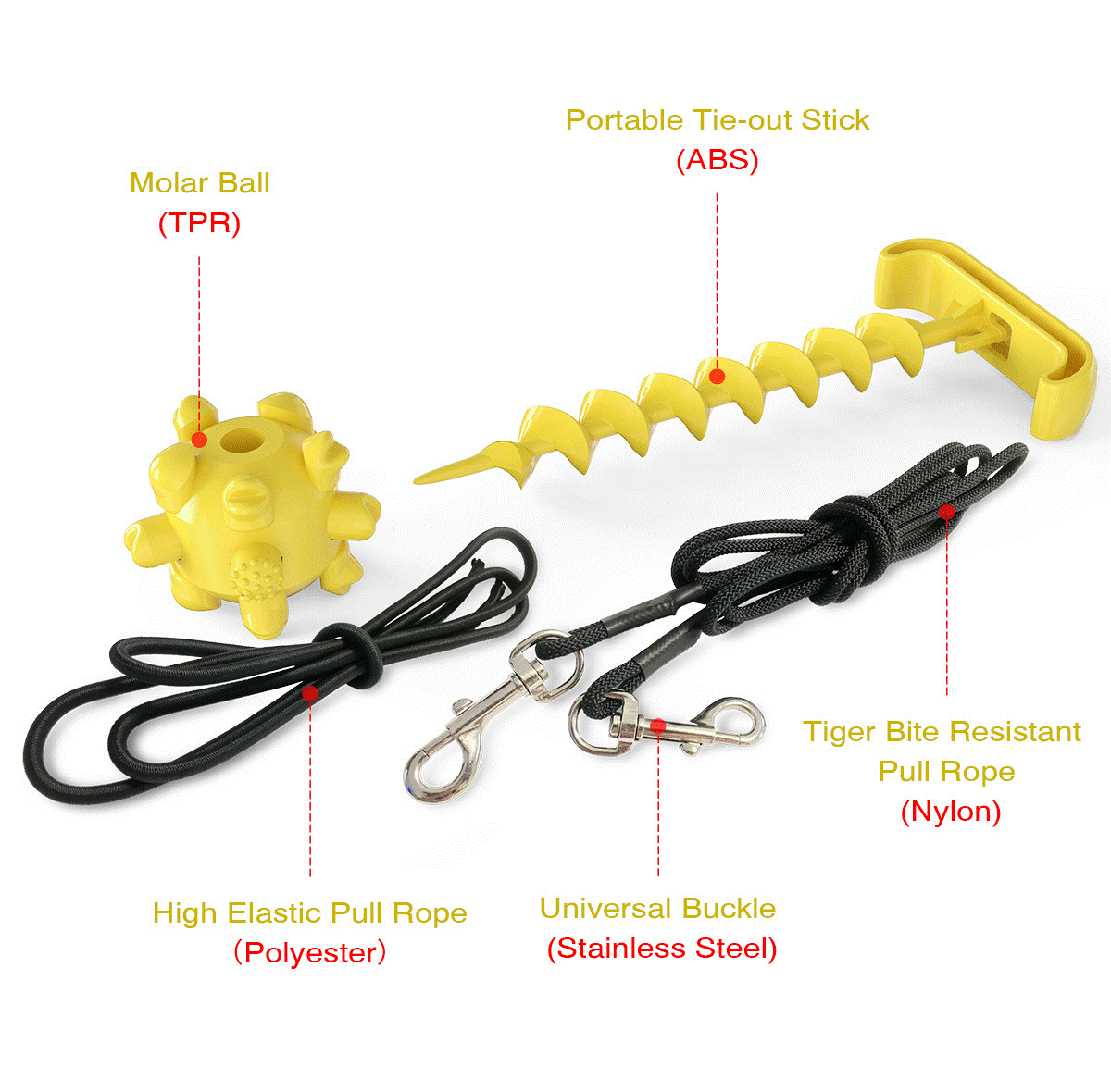 PawVenture Outdoor Dog Leash & Toy Set