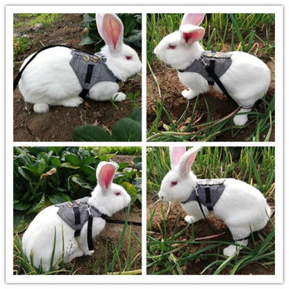 A rabbit wearing Rabbit Jacket Leash