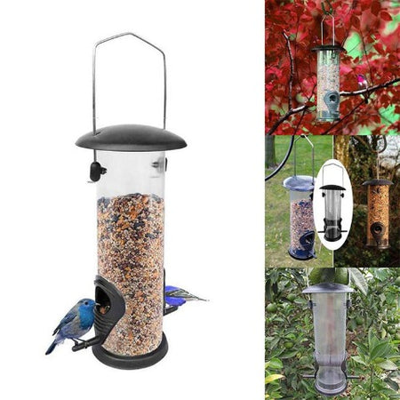 Automatic Outdoor Bird Feeder: in different environments 