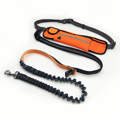 Orange No-pull dog leash