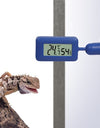 Blue Digital reptile thermometer in a terrarium 