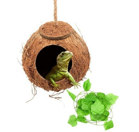 A green lizard in a Reptile Swing