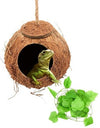 A green lizard in a Reptile Swing