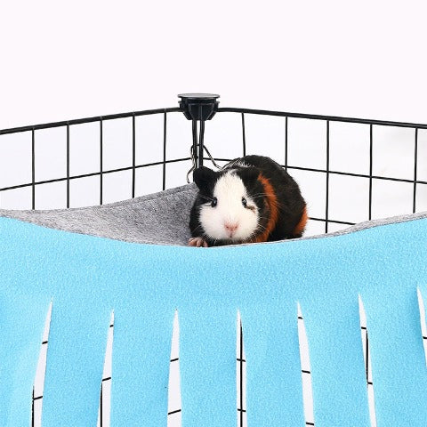 A guinea pig on a Cozy hammock for small pets