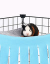 A guinea pig on a Cozy hammock for small pets