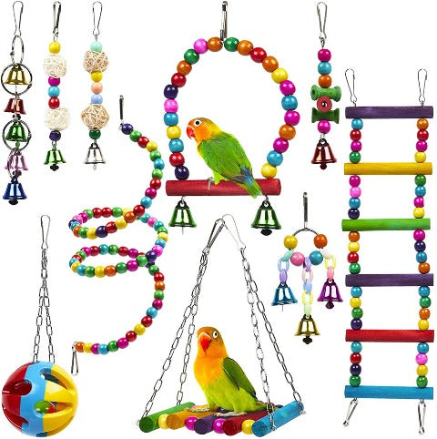 Educational Parrot Toys