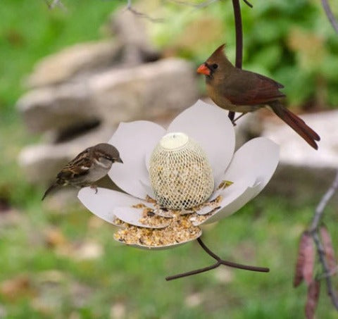 White Garden Petal Shape Bird Feeder and two birds 