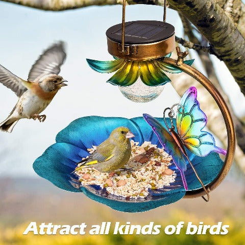 Beautiful bird feeder: Attracts all kinds of birds