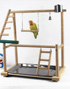 Bird activity center