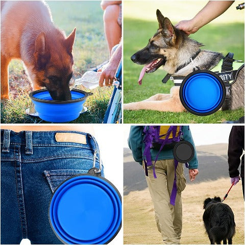 Outdoor Dog Bowls's practical ways to use them 