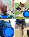 Outdoor Dog Bowls's practical ways to use them 