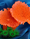 Orange Aquarium plants