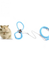 Blue Dwarf hamster harness next to a hamster