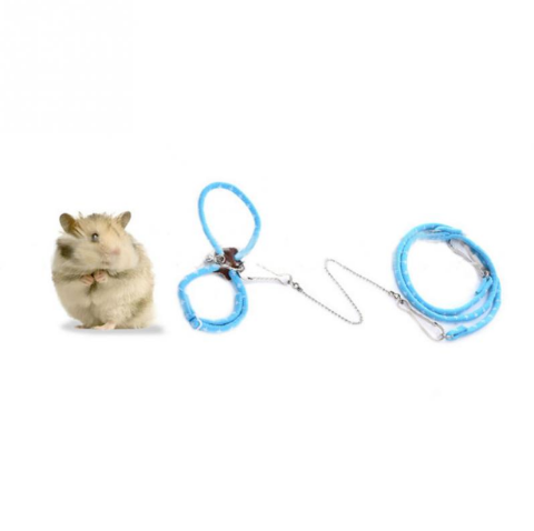 Blue Dwarf hamster harness next to a hamster