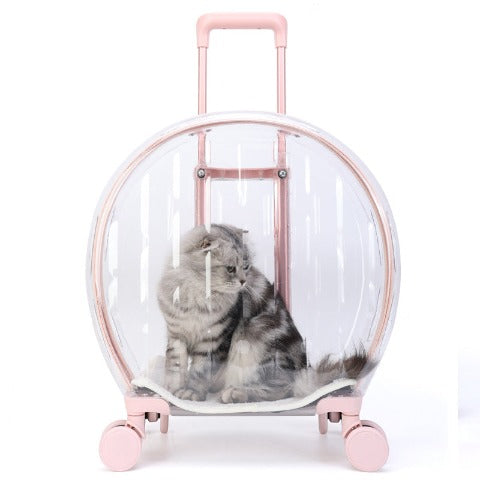 A pink Airline-approved cat carrier with a grey cat inside